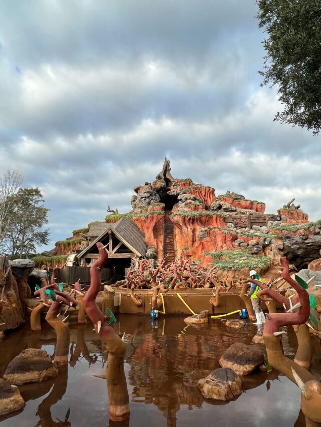 Disneyland Guest Experiences Panic Attack, Jumps Out of Splash Mountain Boat Mid-Ride