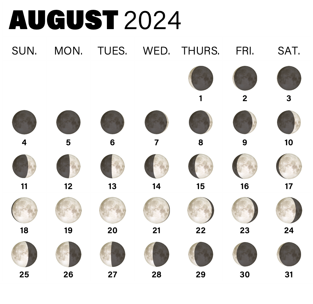 Moon Phases August 2024